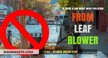 Leaf Blowers: Are They Too Noisy for the Law?