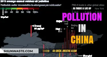 China's Pollution Crisis: A Troubling Reality