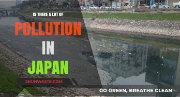 Japan's Pollution Problem: A Comprehensive Overview