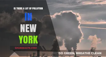 The Big Apple's Pollution Problem