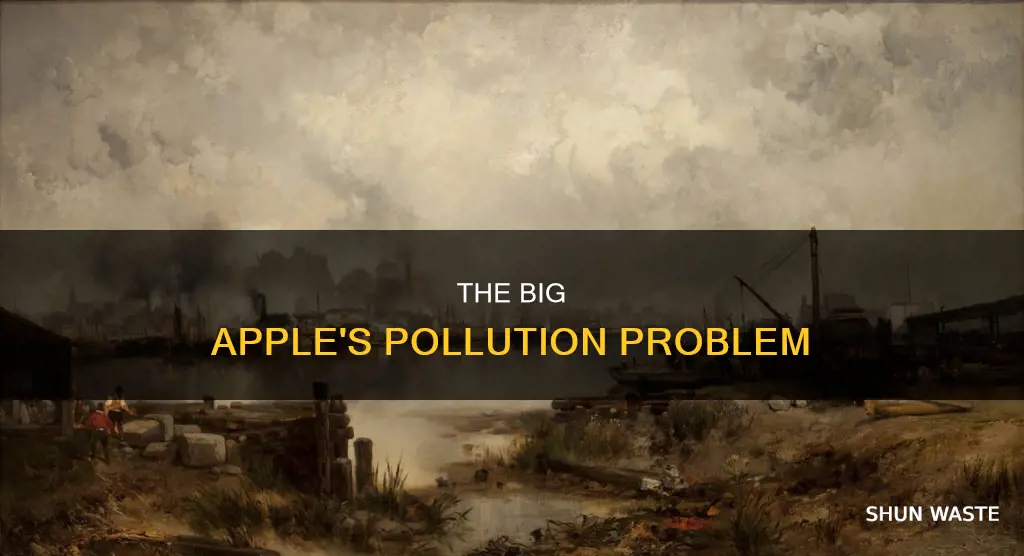 is there a lot of pollution in new york