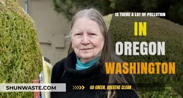 Pollution in Oregon and Washington: A Troubling Issue?