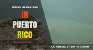 Puerto Rico's Pollution Problem: A Comprehensive Overview
