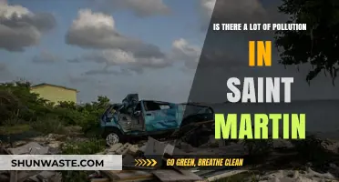 Saint Martin's Pollution Problem: A Detailed Overview