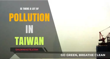 Taiwan's Pollution Problem: A Comprehensive Overview