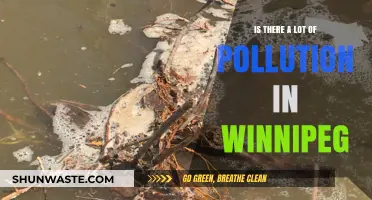 Winnipeg's Pollution Problem: A Comprehensive Overview