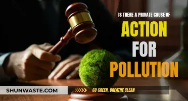 Legal Recourse: Private Action for Pollution?