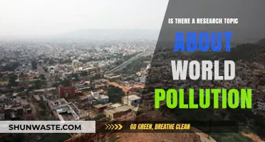 The Global Pollution Crisis: Research and Action