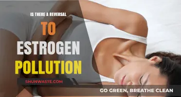 Estrogen Pollution: Reversal Strategies for a Healthier Planet