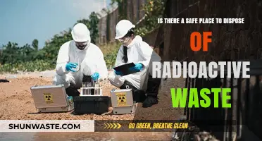 Exploring the Quest for Safe Radioactive Waste Disposal Sites