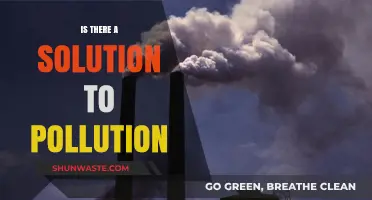 Pollution Solutions: A World Without Pollution