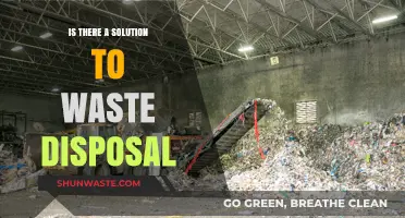 Exploring Sustainable Solutions to the Waste Disposal Crisis