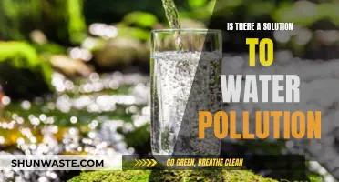 Unveiling Solutions: Can We Reverse Water Pollution?