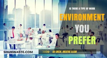 Exploring Ideal Work Environments: Which Setting Suits You Best?