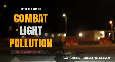 Light Pollution: Strategies for a Brighter Future