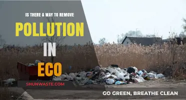 Eco-Friendly Solutions to Combat Pollution