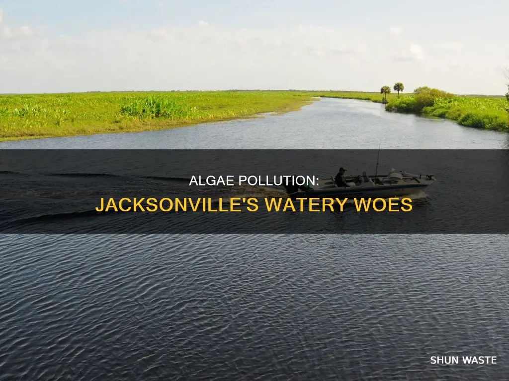 is there algae pollution in jacksonville florida