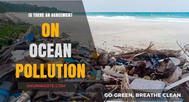 Ocean Pollution: A Global Agreement?