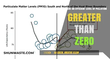 How Much Pollution is Too Much?