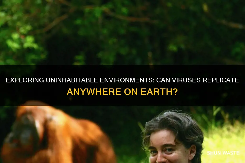 is there an environment viruses can