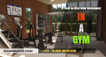 Creating the Perfect Gym Work Environment: Key Factors for Success
