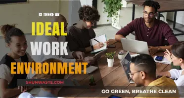 Crafting the Perfect Workspace: Does an Ideal Work Environment Exist?