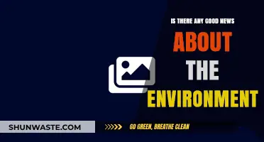 Positive Environmental Stories: Hopeful Updates for Our Planet's Future