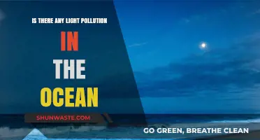 Light Pollution: Ocean's Unseen Darkness