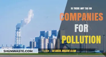 Pollution Tax: Do Companies Pay for Their Emissions?