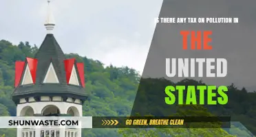 Pollution Tax: The US Approach