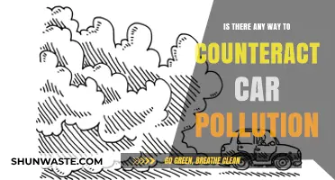 Green Driving: Reducing Car Pollution's Impact