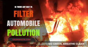 Automobile Pollution: Filtering Solutions for Cleaner Air