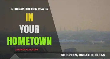 Hometown Pollution: What's Being Poisoned?