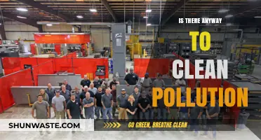 Innovative Solutions to Combat Pollution and Clean our Planet