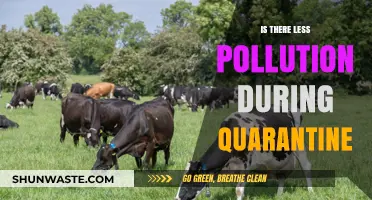 Quarantine's Impact: Less Pollution, Better Air Quality