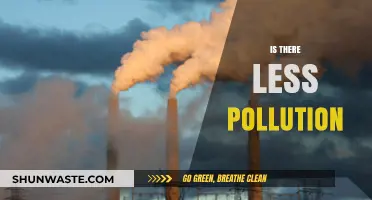 How Pollution Levels Have Changed Over Time