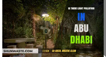 Light Pollution in Abu Dhabi: A Dark Problem?
