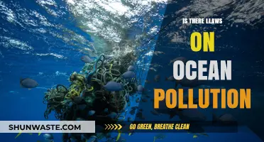 Ocean Pollution: Are There Laws to Protect Our Seas?
