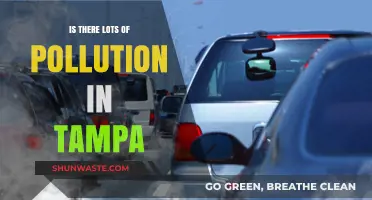 Tampa's Pollution Problem: A Comprehensive Overview