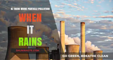 How Rain Affects Particle Pollution Levels
