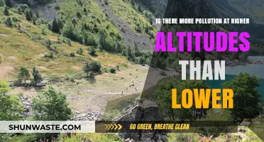 Altitude's Pollution Mystery: Higher or Lower?
