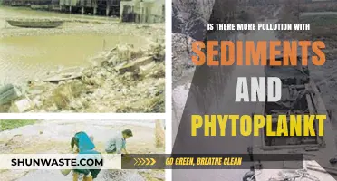 Sediments, Phytoplankton, and Pollution: What's the Connection?