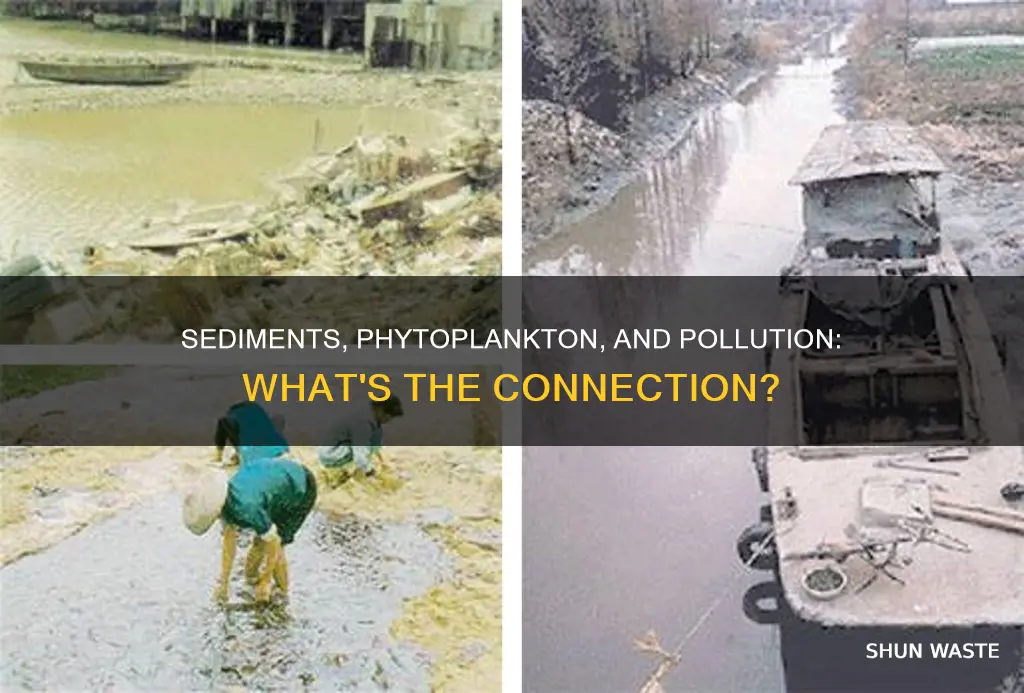 is there more pollution with sediments and phytoplankton