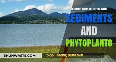 Sediment and Phytoplankton Pollution: A Complex Relationship