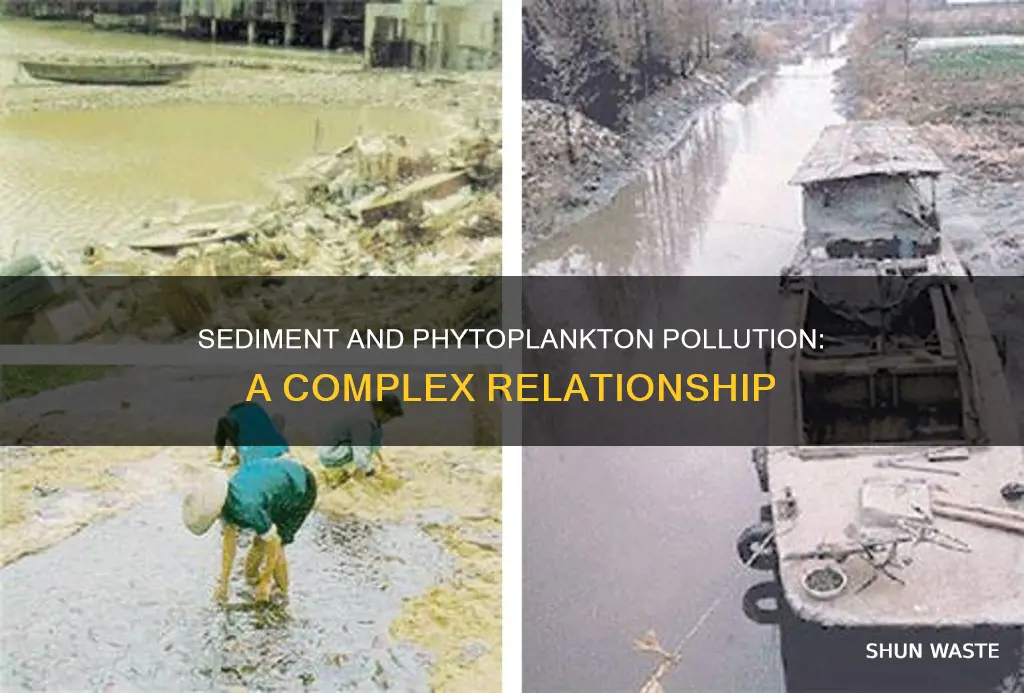 is there more pollution with sediments and phytoplanton