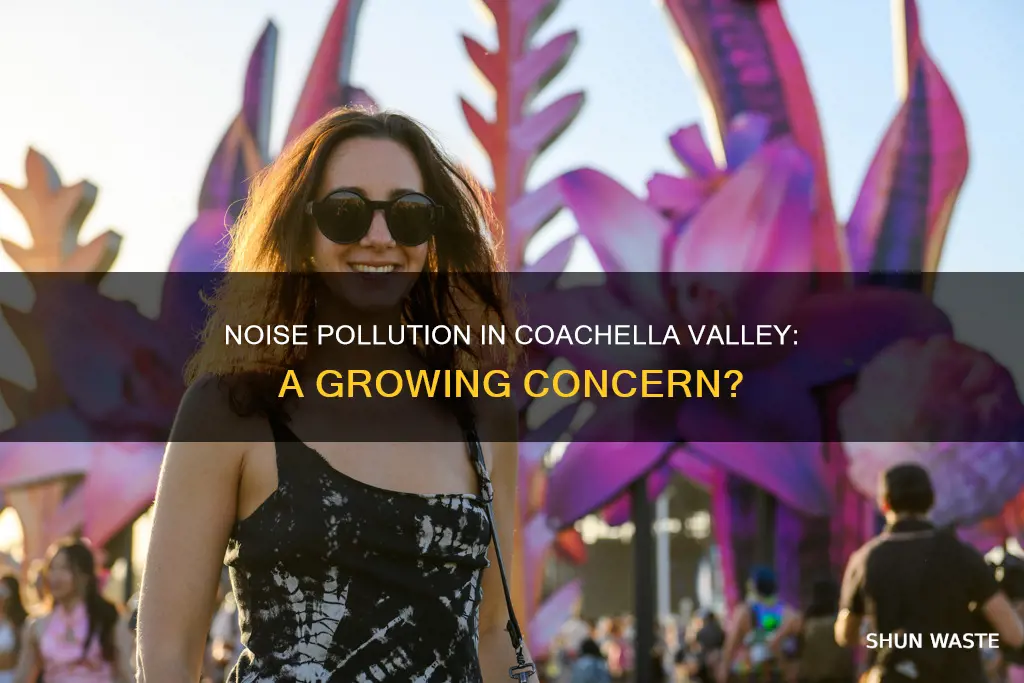 is there noise pollution in cochella valley