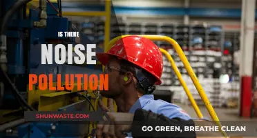 Noise Pollution: A Disturbing Problem