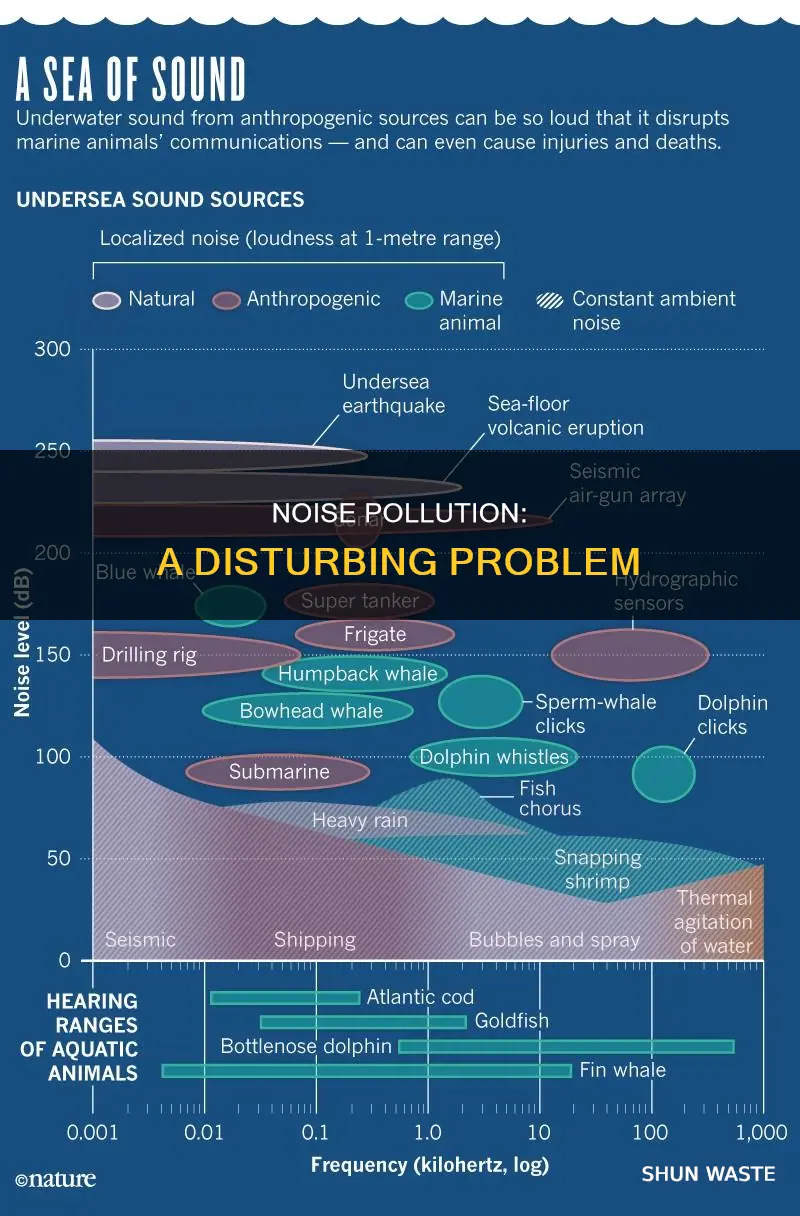 is there noise pollution