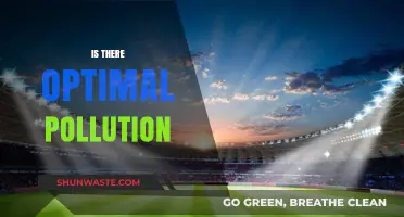 Pollution's Sweet Spot: Exploring the Optimal Balance