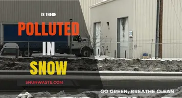 How Polluted is Our Snow?